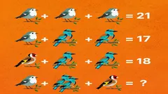 Bara ett geni hittar rätt svar: en förvånansvärt svår kluring