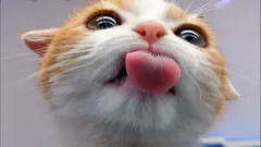 Vilken smak kan katter inte skilja på? Svaret kommer att överraska dig