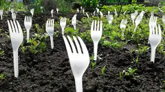 Grannarna skrattade – tills de såg resultatet: varför behövs gafflar i trädgårdslandet?